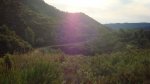 DSC02406.jpg