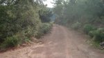 DSC02407.jpg