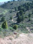 100_2273.jpg