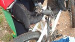 DSC02434.jpg