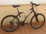 Bici 2.JPG