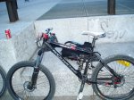 DSC02523.jpg