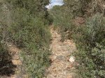 DSCN1087 (Large).JPG