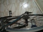 DSC09544.jpg