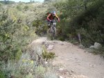 DSC00577.jpg