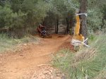 DSC00617.jpg