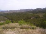 PICT0433.jpg