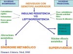 diseo_evolutivo_y_sndrome_metablico.jpg