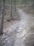PICT0435.jpg