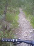 PICT0439.jpg