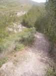 PICT0467.jpg