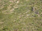 salida 13-04-09 013 [Resolucion de Escritorio].jpg