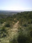 DSC00371.jpg