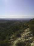 DSC00374.jpg