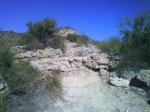 DSC00375.jpg