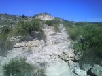 DSC00376.jpg