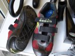 DSC01543.JPG
