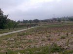 Imagen025.jpg