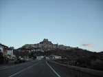 Morella red.jpg