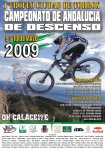 Cartel Campeonato de Andalucia.jpg