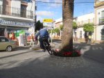 DSC03461.jpg