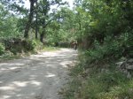 IMG_3594.jpg