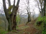 DSCN3400 (Large).JPG