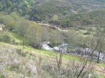DSCN3368 (Large).JPG