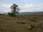 DSCN3416 (Large).JPG