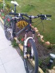 IMAG0063.jpg
