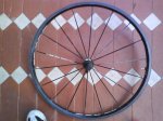 DSC00229.jpg