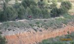 burja14.jpg