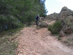 DSC04207.JPG