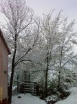 nieve1.jpg