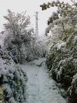 nieve3.jpg