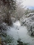 nieve5.jpg