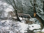 nieve6.jpg