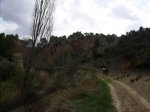 PICT0127.jpg