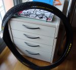 DSC01010.jpg