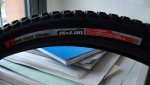 DSC01007.jpg