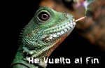 he_vuelto[1].jpg