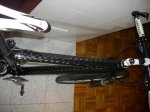 IMGP0329.jpg