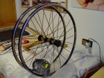DSC05930.jpg