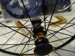 DSC05932.jpg