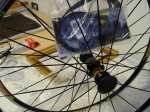 DSC05934.jpg