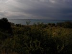 SANY0071.jpg