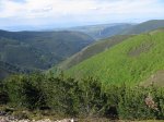 mini-IMG_4632.JPG