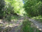 mini-IMG_4662.JPG