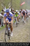 rbx09-boonen[1].jpg