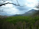Image_007.JPG